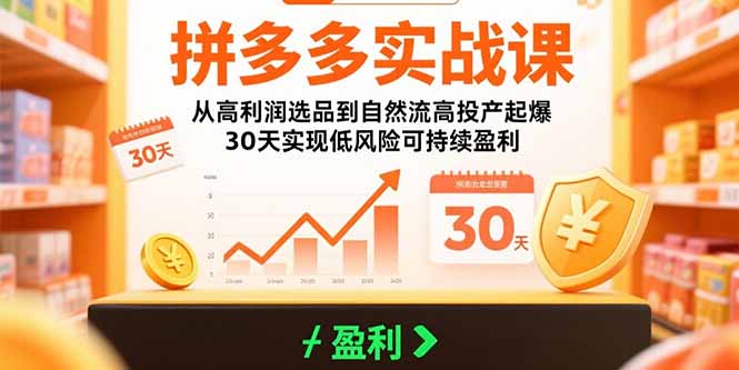 拼多多实战课：从高利润选品到自然流高投产起爆 30天实现低风险可持续盈利-大鱼聊项目