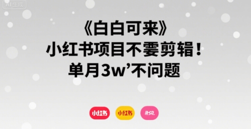 小白可来 小红书项目不需要剪辑 单月3w不是问题-大鱼聊项目