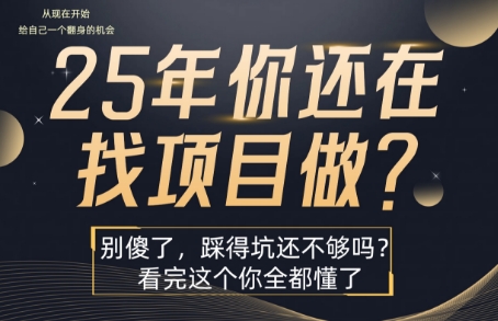 25年，你还在疯狂的找项目吗？别傻了，看完这个你都懂了【揭秘】-大鱼聊项目