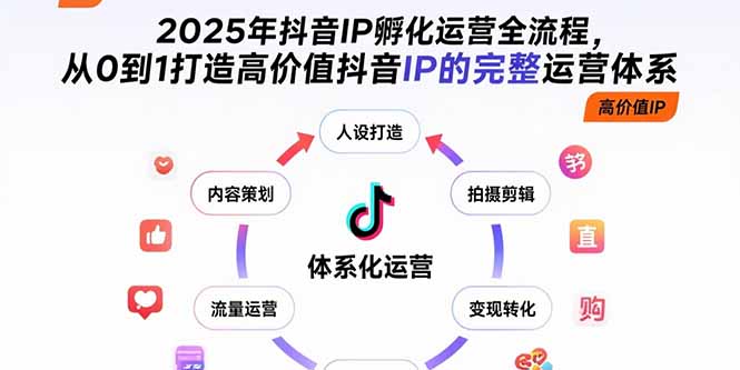 2025年抖音IP孵化运营全流程，从0到1打造高价值抖音IP的完整运营体系-大鱼聊项目