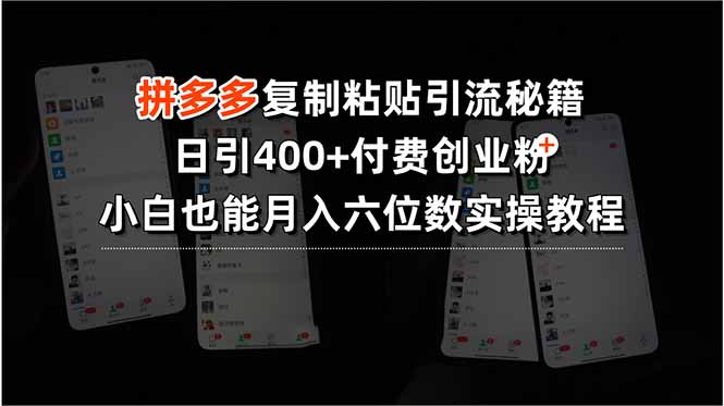 拼多多复制粘贴引流秘籍，日引400+付费创业粉，小白也能月入六位数实操…-大鱼聊项目