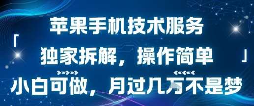 苹果手机技术服务，独家拆解，操作简单，小白可做，月过1W不是梦-大鱼聊项目
