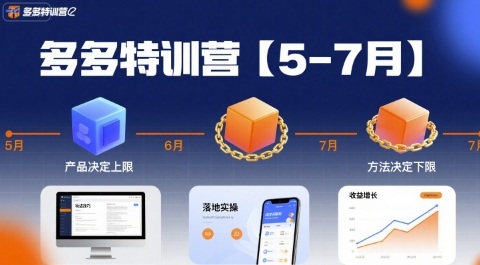 多多特训营【5-7月】产品决定上限，方法决定下限，各种玩法技巧落地实操-大鱼聊项目