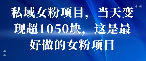 私域女粉项目，当天变现超1k，这是最好做的女粉项目，可放大操作-大鱼聊项目
