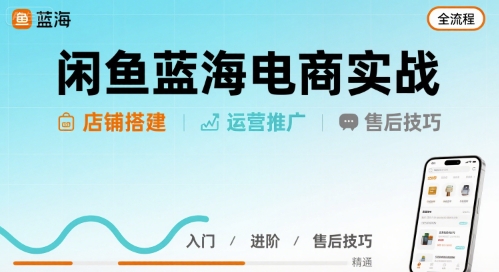闲鱼蓝海电商实战，店铺搭建运营售后全流程-大鱼聊项目
