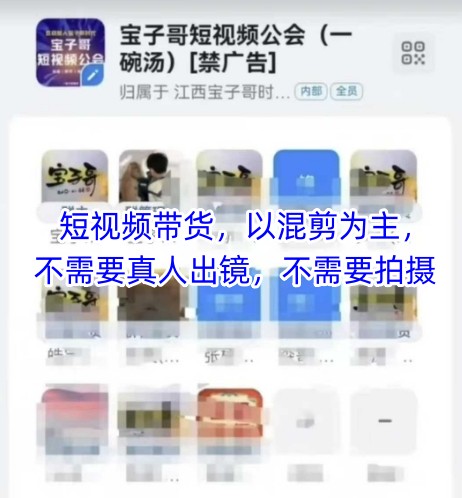 宝子哥头部团队短视频带货，以混剪为主，不需要真人出镜，不需要拍摄【更新8月】-大鱼聊项目
