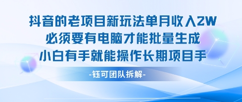老项目新玩法单月收入2W小白有手就能操作长期项目-大鱼聊项目