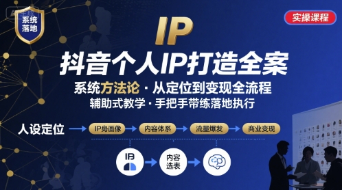 抖音个人IP系统落地实操大课，实操课程，辅助落地-大鱼聊项目