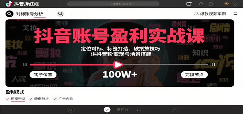 抖音账号盈利实战课，定位对标、标签打造、破播放技巧，讲涨粉变现与场景搭建-大鱼聊项目