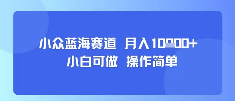 小众蓝海赛道，小白可做，操作简单，每天30分钟，月入1W+-大鱼聊项目