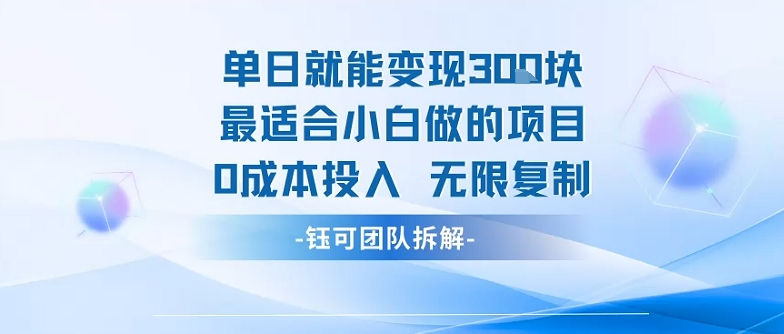 单日就能变现3张最适合小白做的项目0成本投入 无限复制-大鱼聊项目