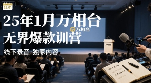 25年1月万相台无界爆款特训营线下录音-大鱼聊项目