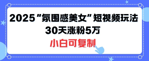 不露脸也能火！2025“氛围感美女”短视频玩法，30天涨粉5W小白可复制-大鱼聊项目