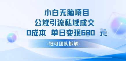 小白无脑项目公域引流私域成交0成本单日变现680米-大鱼聊项目