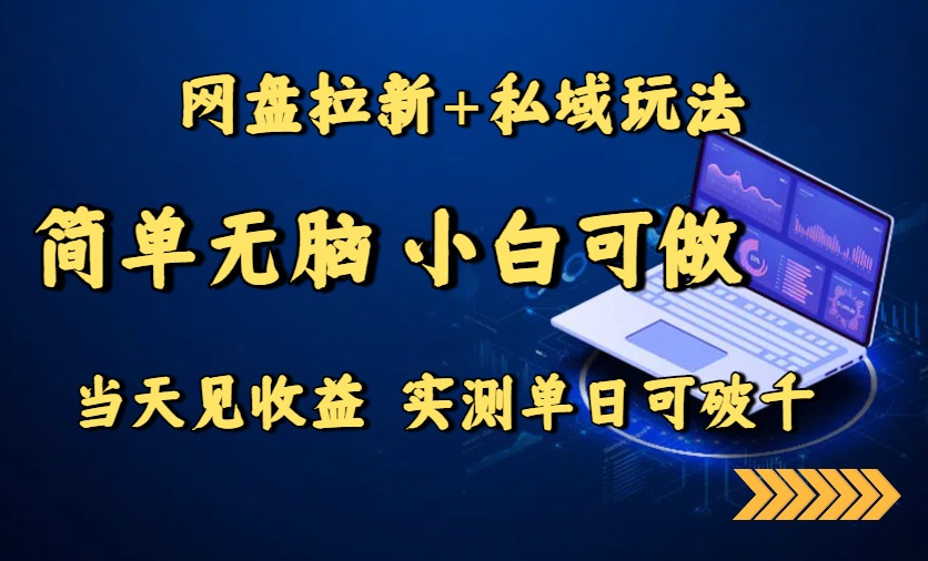 网盘拉新+私域玩法，简单无脑，小白可做，当天见收益，实测单日可破千-大鱼聊项目