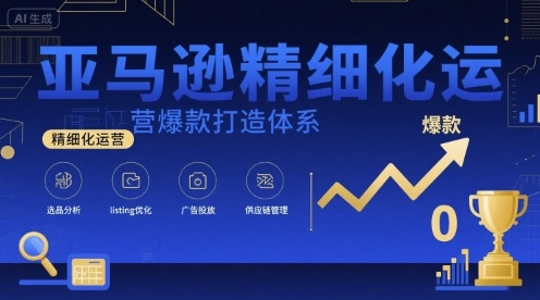亚马逊精细化运营爆款打造体系，视频课+全套资料文档-大鱼聊项目