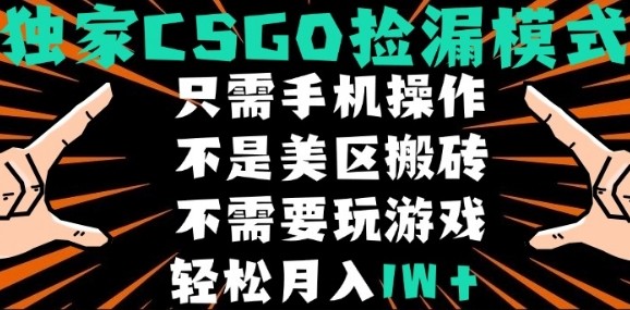 CSGO自动捡漏项目，最新独家玩法，不是美区搬砖，不需要了解和玩游戏，新手小白轻松月入1W+【揭秘】-大鱼聊项目
