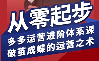 拼多多运营进阶系统课，从零起步，多多运营进阶体系课，破茧成蝶的运营之术-大鱼聊项目