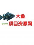 大鱼的头像-大鱼聊项目